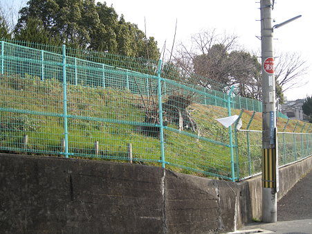 麻田公園
