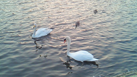 201005021815000