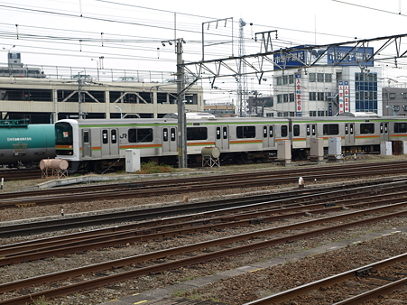 209系八高線(八王子駅)