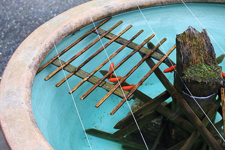 2010.03.05　鎌倉　報国寺　金魚鉢