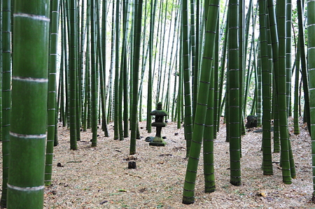2010.03.05　鎌倉　報国寺　石灯籠