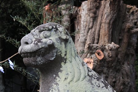 2010.03.19　鎌倉八幡宮　狛犬と大銀杏