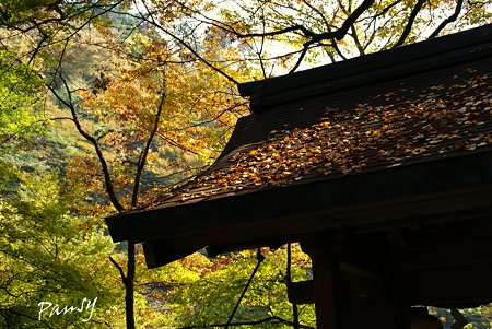 貴船神社にて・・4