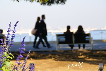 海辺の公園・・