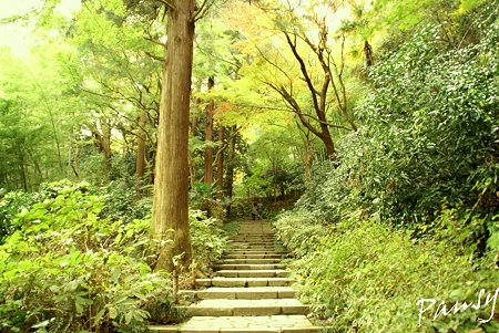 瑞泉寺石段・・