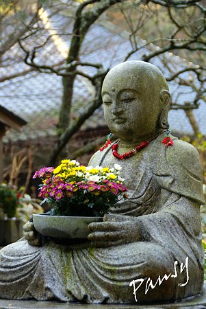 花想い地蔵さま　朝の明月院・・6