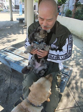 ガンバレセラピー犬!