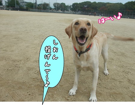 投げるで~