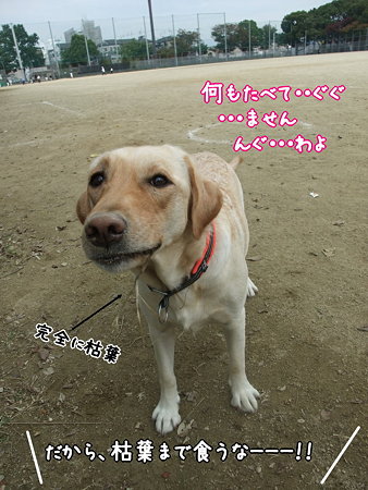 顔いがんでる