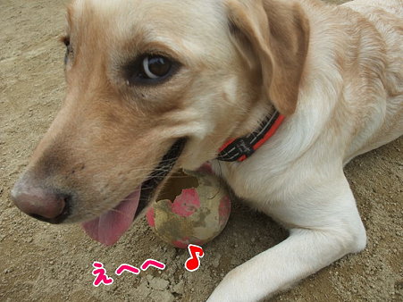 えへへ