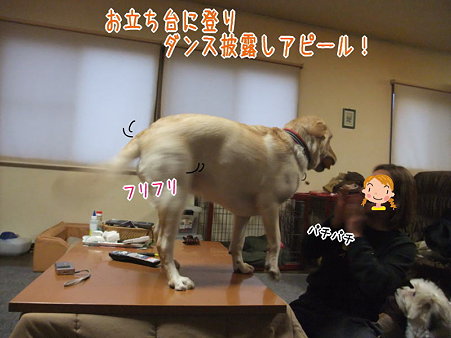 最後の手段!