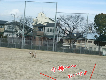 おいで