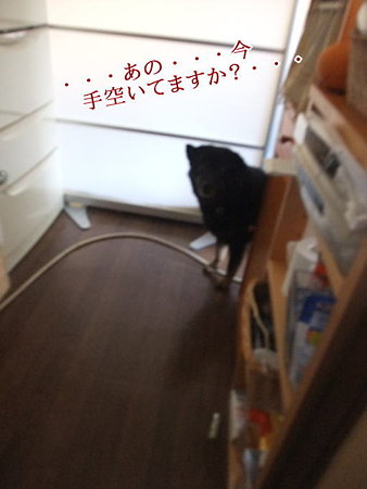 今手空いてますか