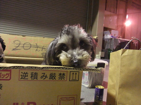 スネちゃった・・・