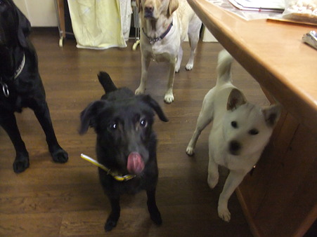 食べ物には
