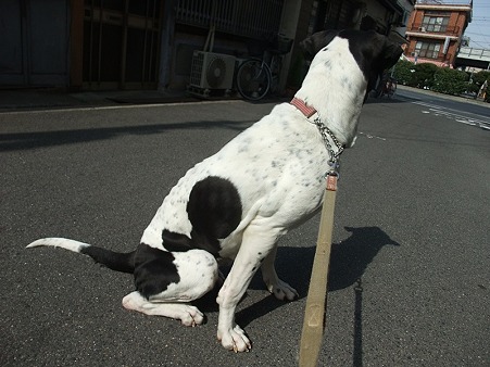 ここはどこ?