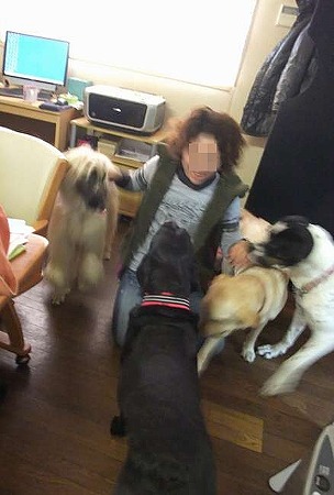 犬に囲まれる
