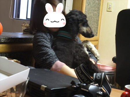 愛しそうに