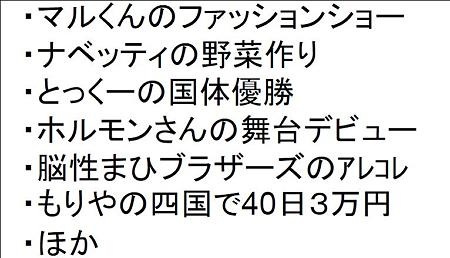 2010年ビジョンプレ (14)