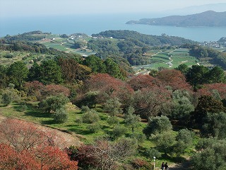 2009_1123岡山にて0193