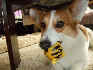 2010_01290065