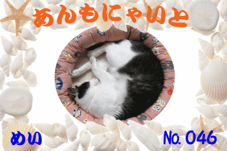 めいちゃん640×426