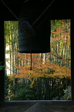 紅葉に染まる梵鐘、報国寺091212-791