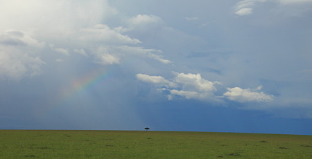 平原の虹
