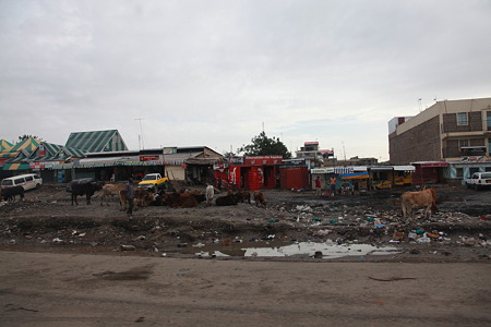 DPP_1086