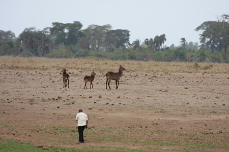 DPP_1211