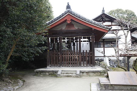 唐招提寺・醍醐井戸
