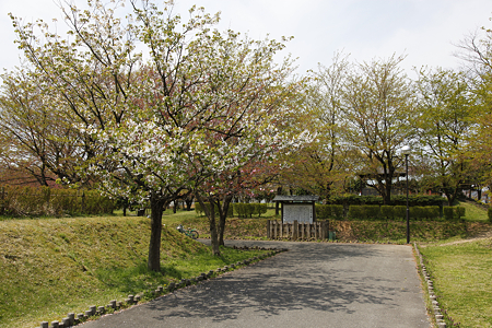 村松城 - 05