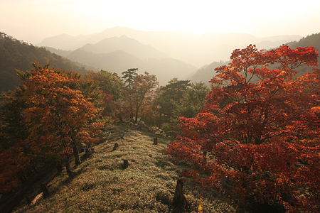 大台ヶ原 - 002