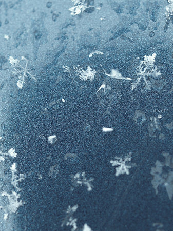 winter wonderland*5