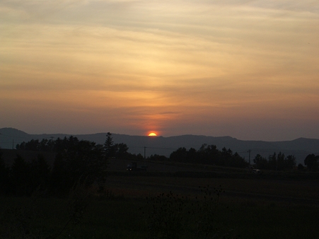 IMGP5616