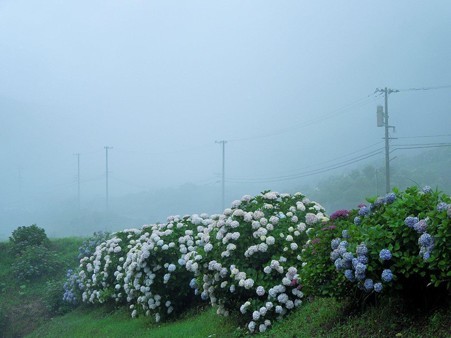 DSCN3273
