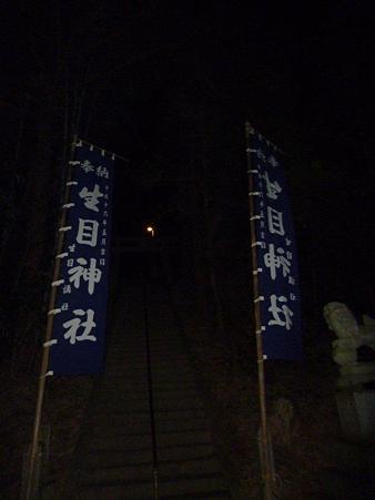 P1030241