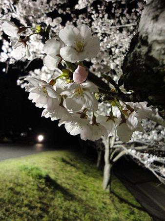 DSC01297