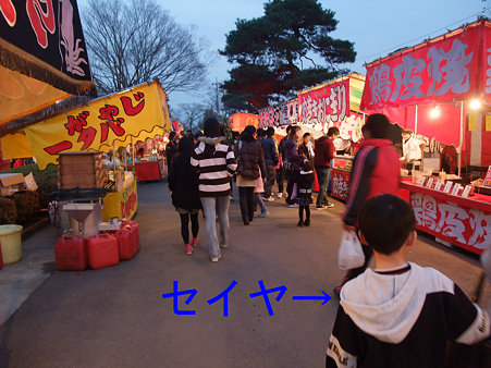 DSCF3895