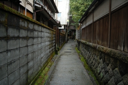 苔むしている