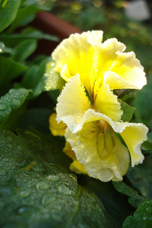 DSC06900