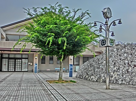 CIMG0024