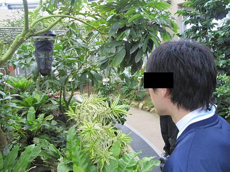 見ぃ～つけた！