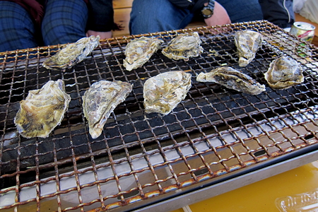 糸島のカキ