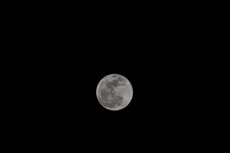 DSC_7224