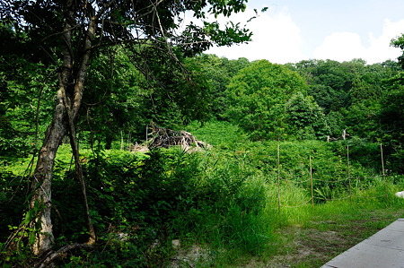 1108141542_DSC_6195