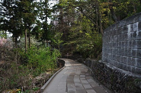 1005050821_DSC_4997
