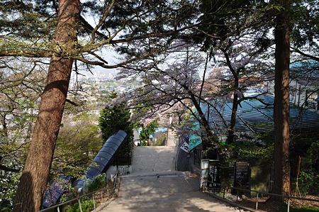 1005050827_DSC_5052