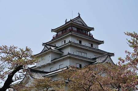 1005051132_DSC_5376