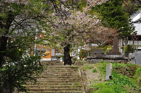 1005051310_DSC_5576